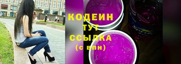 крисы Елабуга