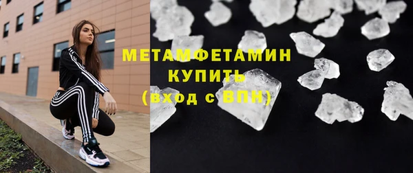 индика Вяземский