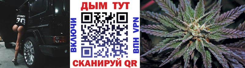 цена KRAKEN как войти Бошки марихуана SATIVA & INDICA Белгород